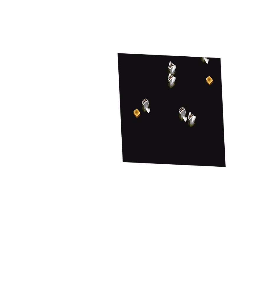 Macpack screensaver image